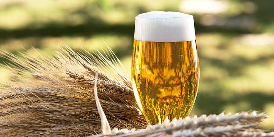 Making Your Beer Crystal Clear